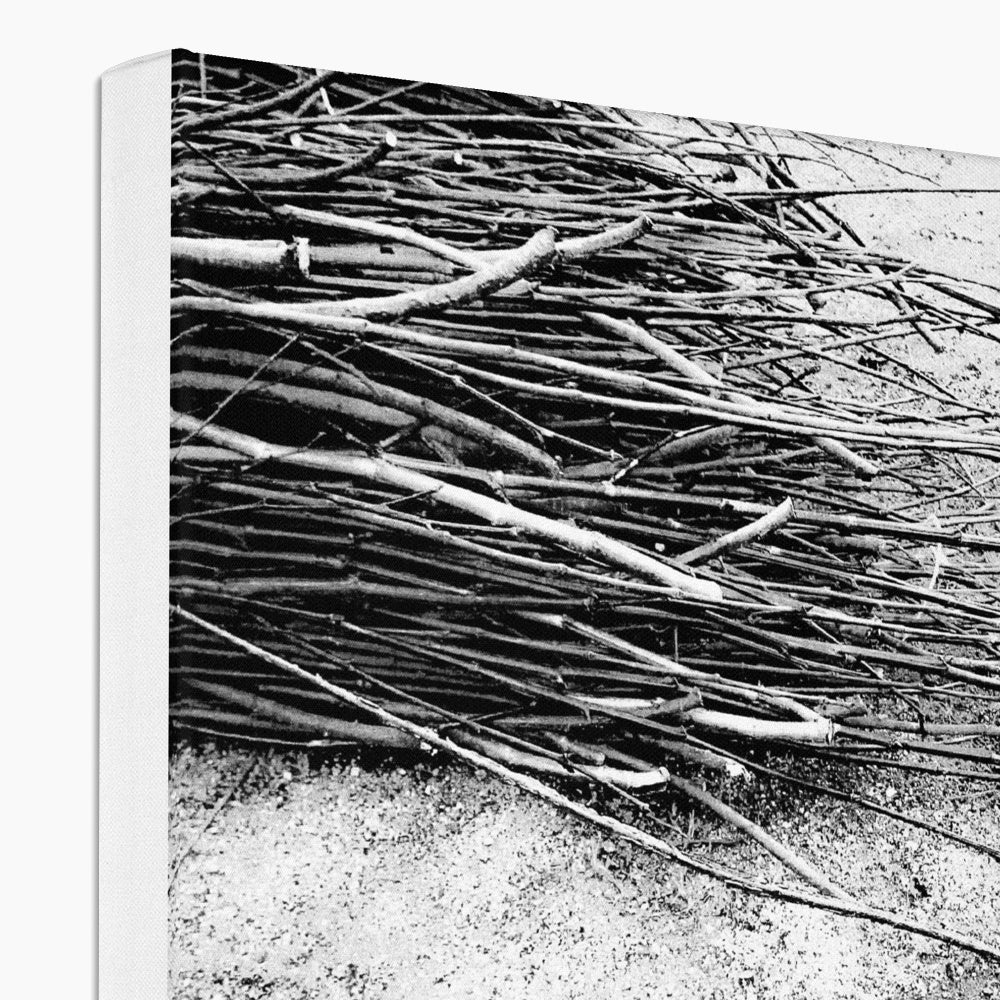 03 10 0212 Coppicing