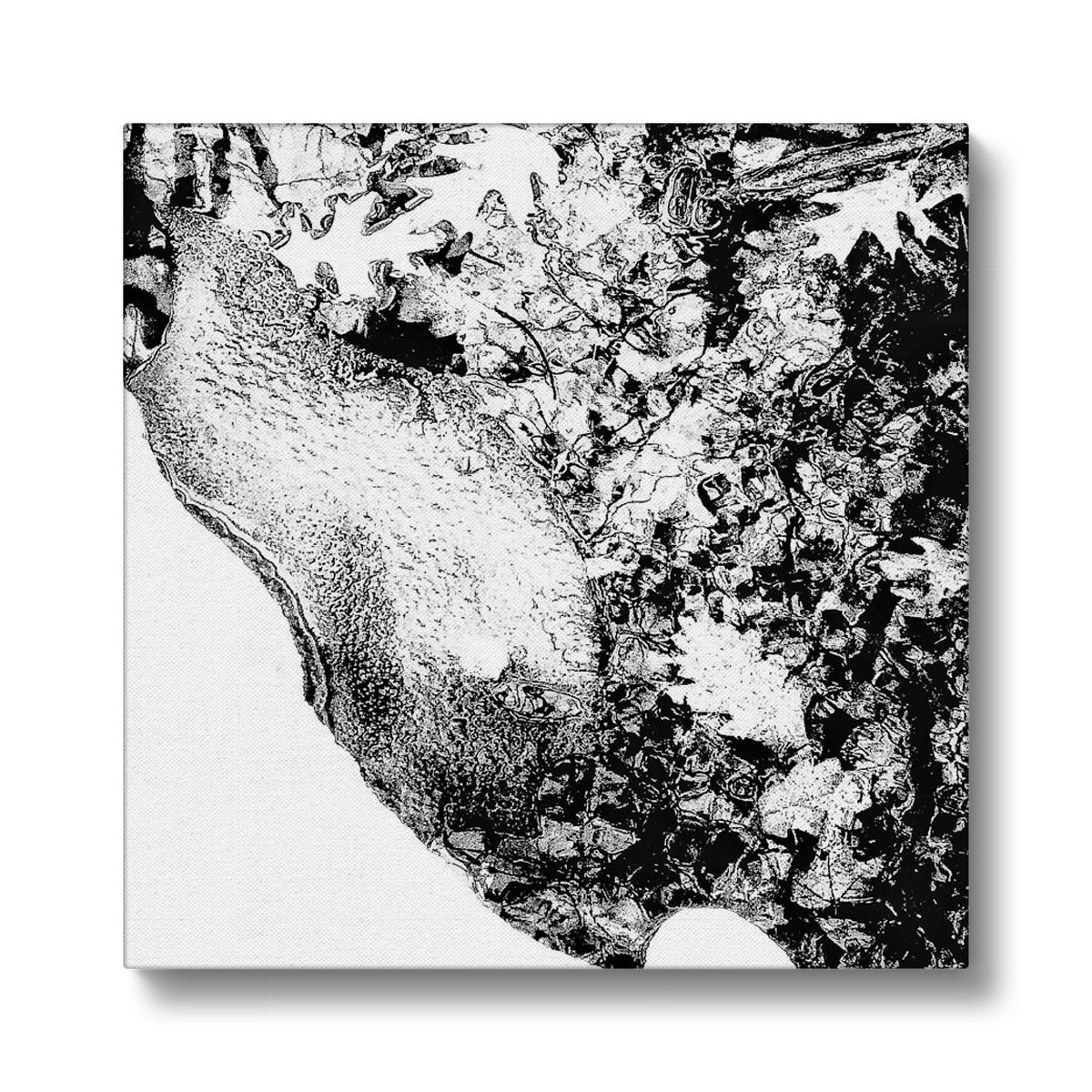 05 09 0168 Snowy