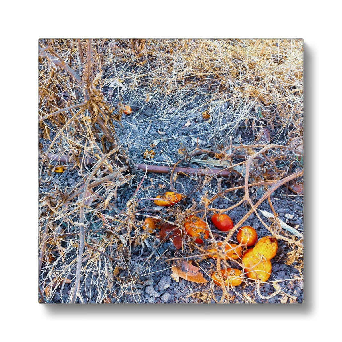 05 04 0133 Orange