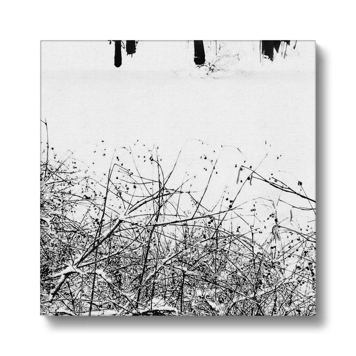 05 09 0169 Snowy